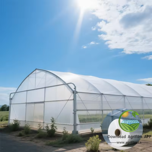 China Manufacturer greenhouse plastic sheet greenhouse cover agricultural film greenhouse film