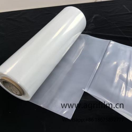 Flat Clear PE Plastic Liner Bag on Roll Perforated Easy-to-Tear Food Grade Perforated Bags for Carton Liner