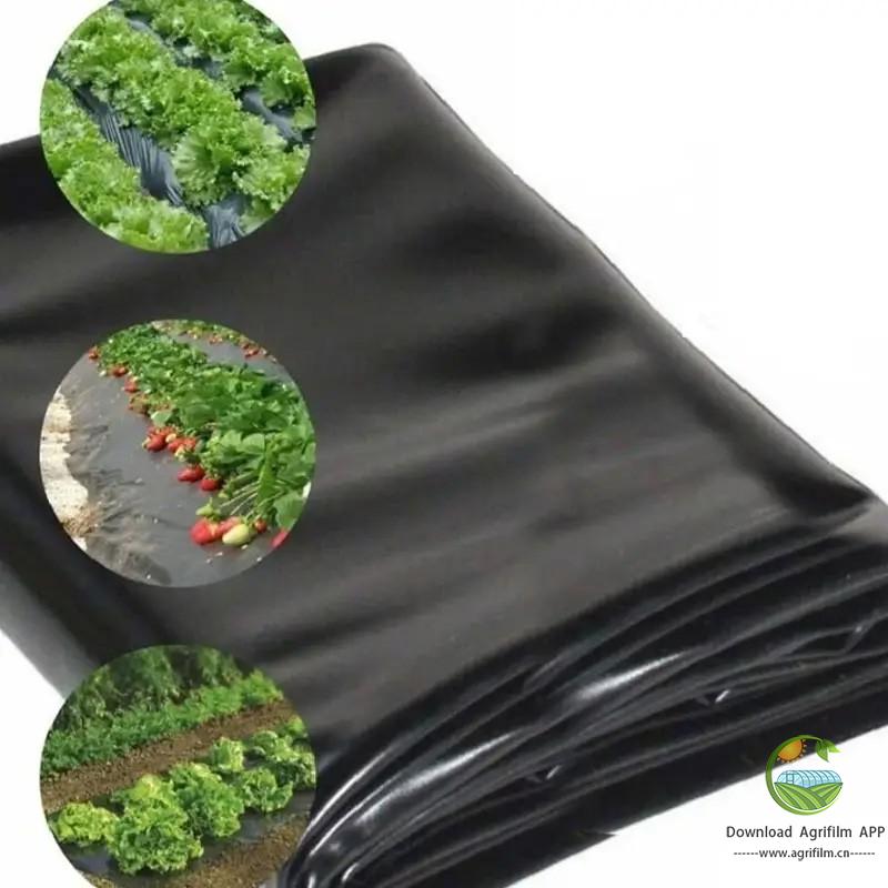 Fruit Tree Care: 10 15 20 25 30micron Ground Cover Mulch Film, Agricultural Fabric for Fully Covered Soil